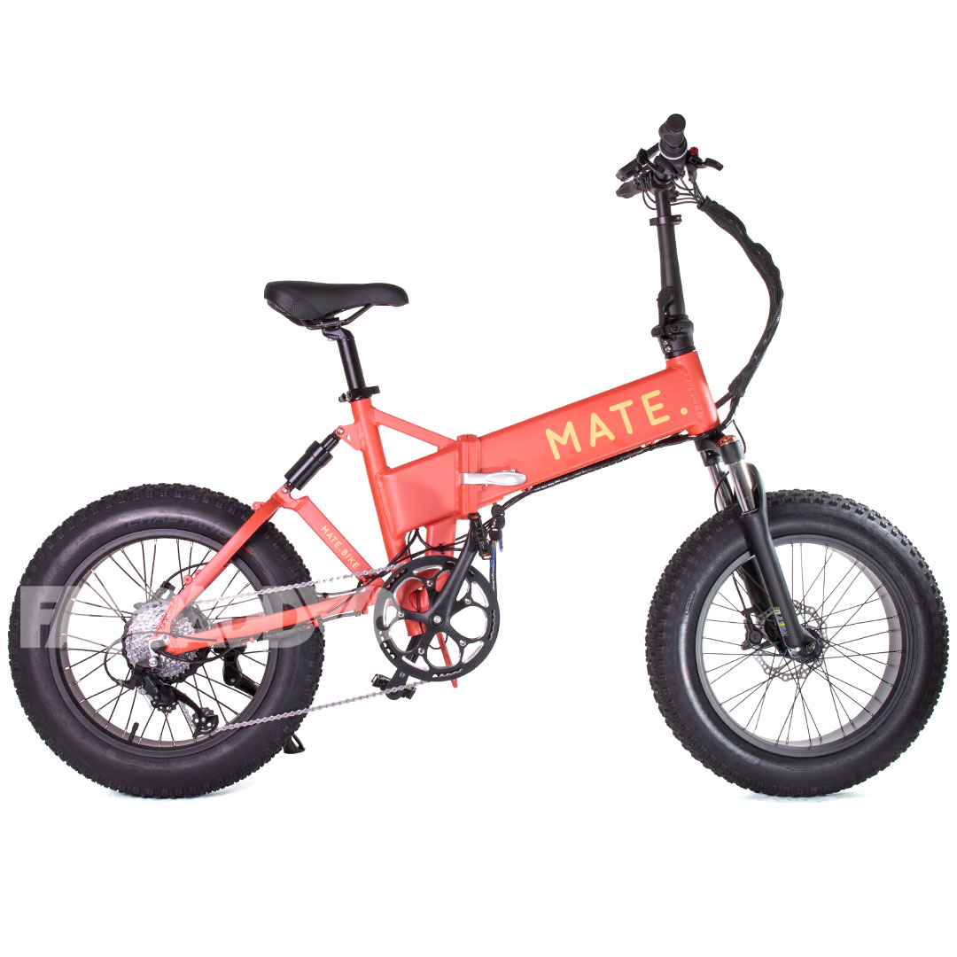 Mate X Caribbean Coral